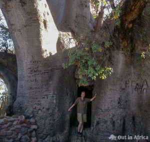 Ombalantu-Baobab