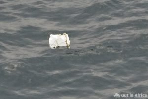 Garbage in the Ocean